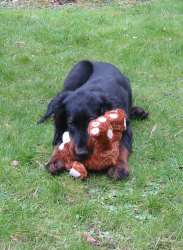 13 Wochen - OSTERN - mit Hase 2